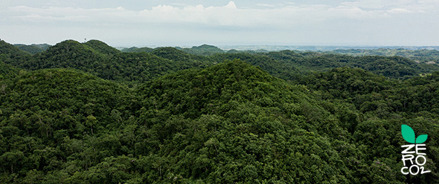 La nostra Foresta Ecosolve – 100 alberi da frutto piantati in Guatemala, Settembre 2022
