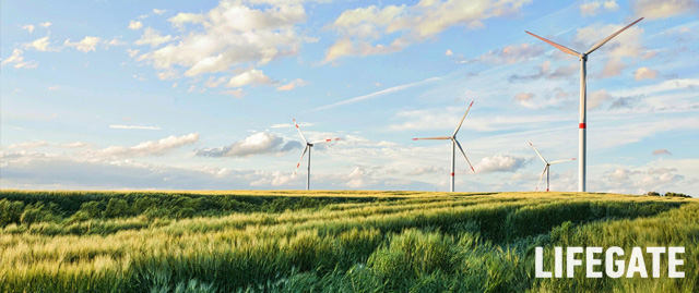 LifeGate Energy – energia 100% rinnovabile prodotta in Italia per server e uffici INSIA